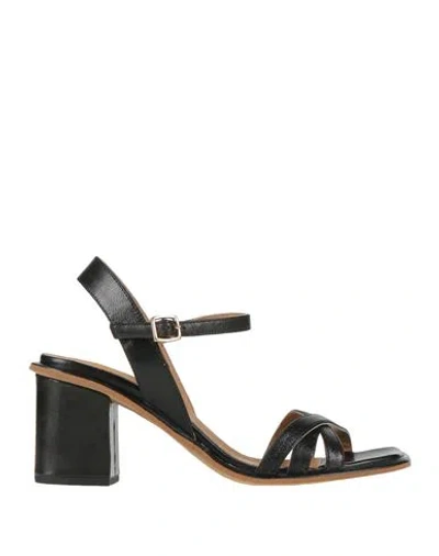 Paola Ferri Woman Sandals Black Size 7 Leather