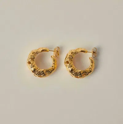 Paola Sighinolfi Women's Galia Hoops Earrings In Gold