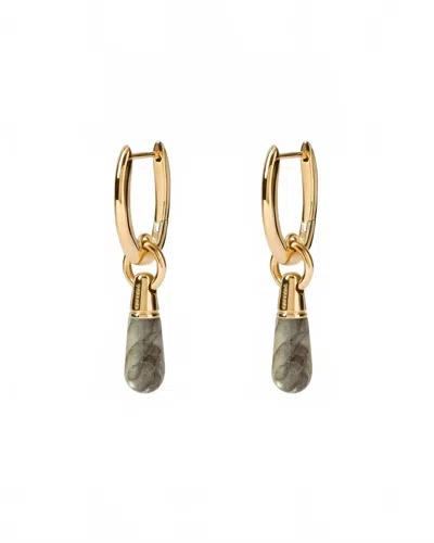 Pdpaola Women's Jupiter Single Hoop In Labradorite/gold In Multi