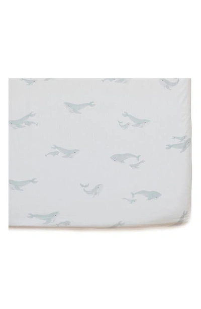 Pehr Follow Me Organic Cotton Crib Sheet In Follow Me Whale