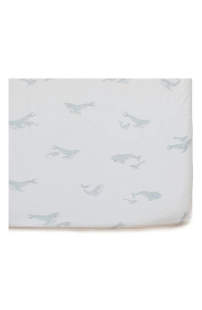 Pehr Kids' Follow Me Organic Cotton Crib Sheet In Follow Me Whale