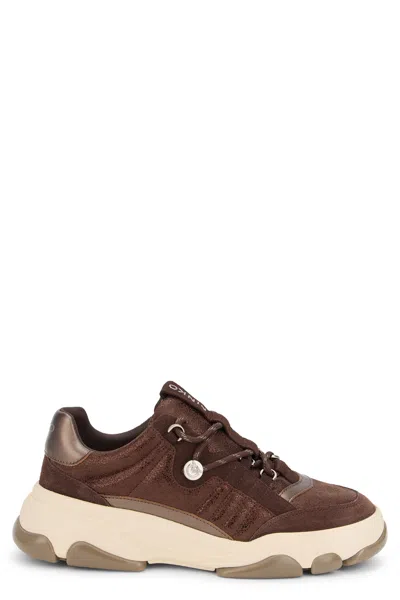 Pinko Athena Leather Sneakers In Brown
