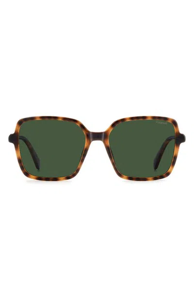 Polaroid 56mm Polarized Square Sunglasses In Multi