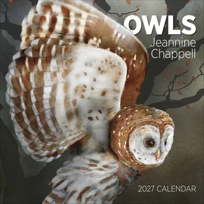Pomegranate Owls 2027 Wall Calendar By Jeannine Chappel