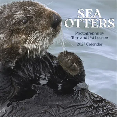 Pomegranate Sea Otters 2027 Wall Calendar