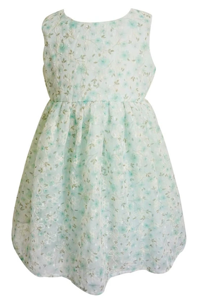 Popatu Kids' Floral Embroidered Tulle Overlay Dress In Mint