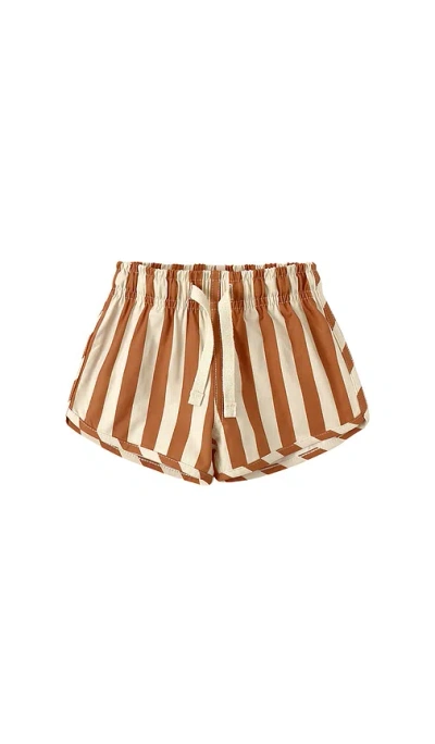 Quincy Mae Boys Swim Short In Retro Poppy Stripe