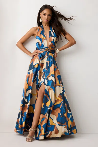 Ramy Brook Jasmine Printed Silk Plunging Halter Gown In Animal Print
