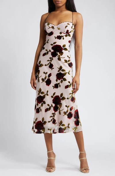 Rare London Blissful Date Pink Floral Velvet Burnout Lace-up Midi Dress