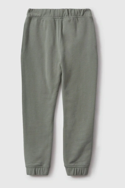 Reiss Toby - Pistachio Cotton Elasticated Waist Motif Joggers, Uk 13-14 Yrs