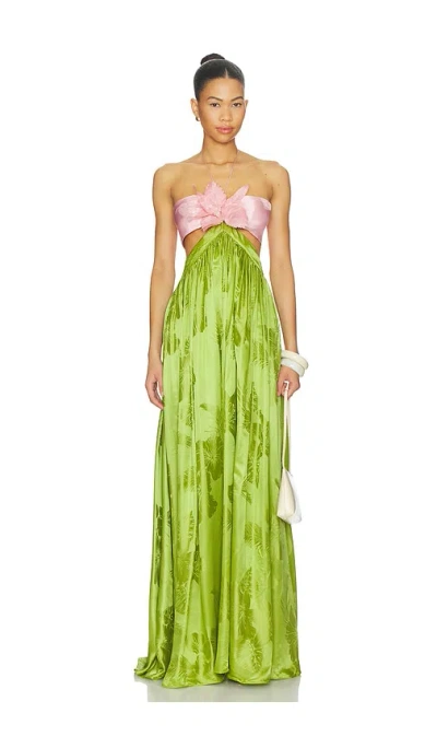 Retrofete Prudy Dress In Kiwi & Rosa Top Jacquard
