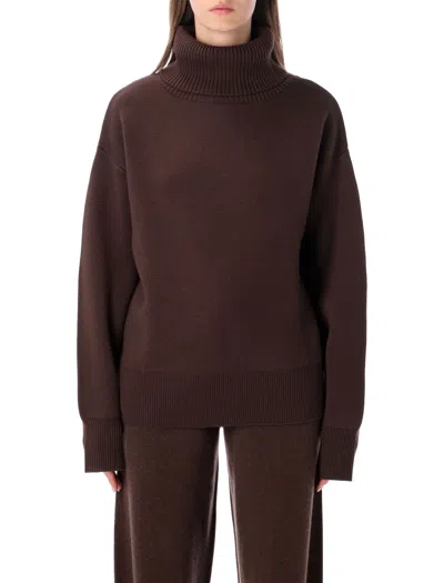 Rhea Oversized Turtleneck Sweater In Dark Brown