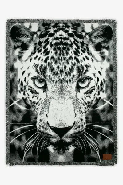 Roberto Cavalli Jacquard Plaid With Leopard In Multi