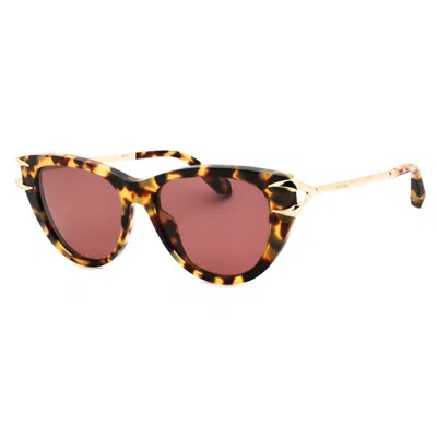 Roberto Cavalli Matte Frame Sunglasses For Women In Brown