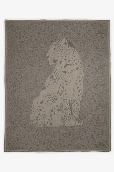 Roberto Cavalli Printed Jacquard Plaid Big Cat In Brown
