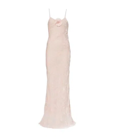 Rodarte Floral-appliqué Velvet Slip Dress In Nude