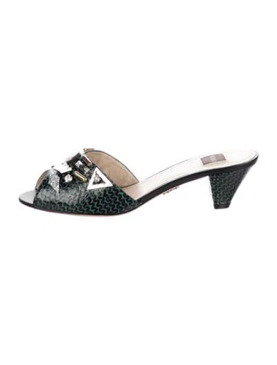 Pre-owned Rodo Leather Animal Print Slides In Green