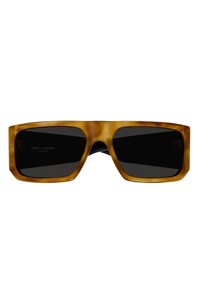 Saint Laurent 58mm Geometric Sunglasses In Havana