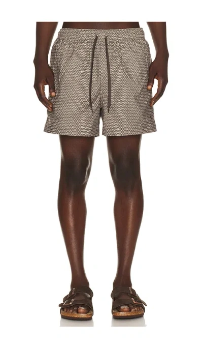 Samsoe & Samsoe Moses Swim Shorts In Brown Tile