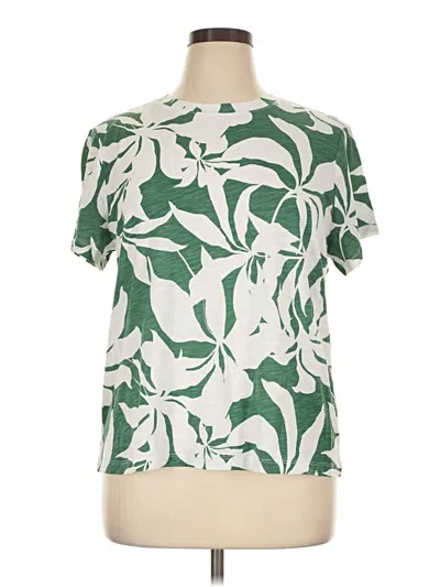 Sanctuary Short Sleeve T-shirt In Green