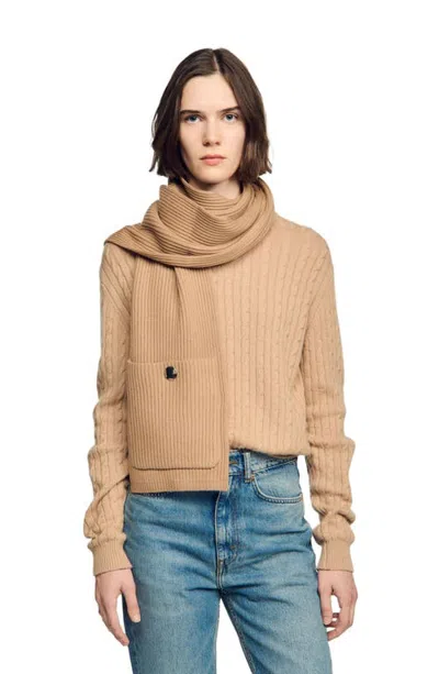 Sandro Wool And Cashmere Scarf In Brown