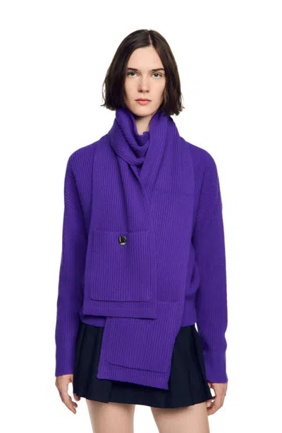 Sandro Wool And Cashmere Scarf In Purple