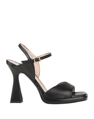 Sergio Cimadamore Woman Sandals Black Size 11 Leather