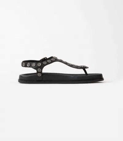 Seychelles Women's Sunday Funday T-strap Studded Sandals In Black