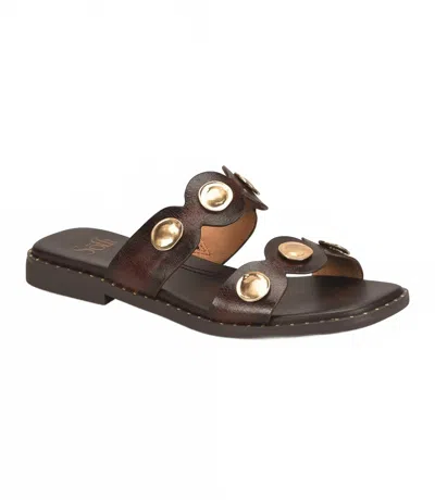 Söfft Women's Ezra Studded Slides In Chocolate In Gold
