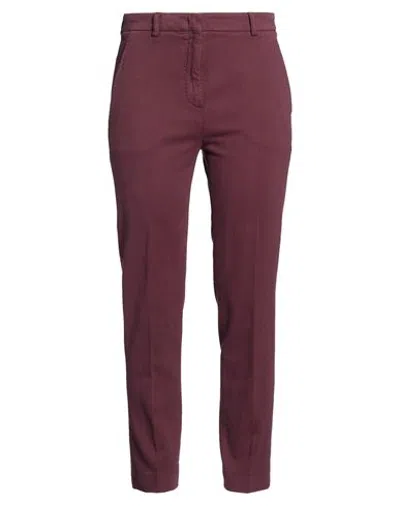 Slowear Woman Pants Plum Size 10 Cotton, Elastane In Burgundy