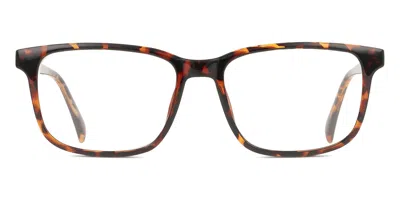 Smartbuy Collection Noam Men's Glasses, Tortoiseshell, Size 52 In Brown