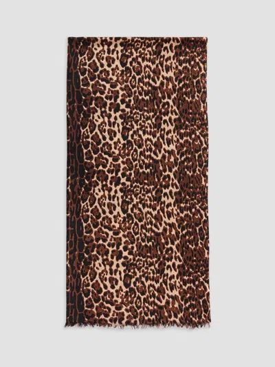 Sofia Cashmere Women's Leopard Cashmere Scarf