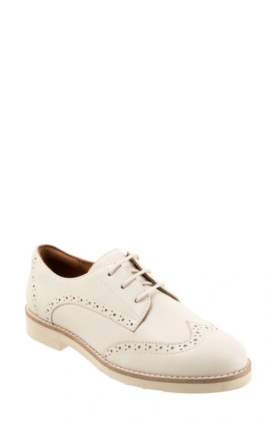 Softwalk Willet Wingtip Derby In Ivory