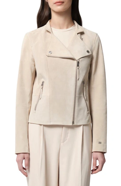 Soia & Kyo Saskia Suede Moto Jacket In Mist