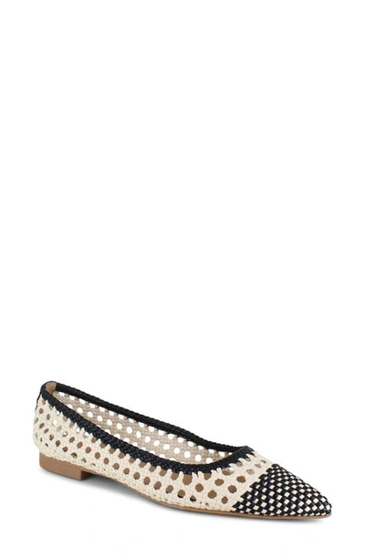 Splendid Nelly Pointed Toe Flat In Black/oat
