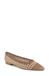 Splendid Nelly Pointed Toe Flat In Macchiato