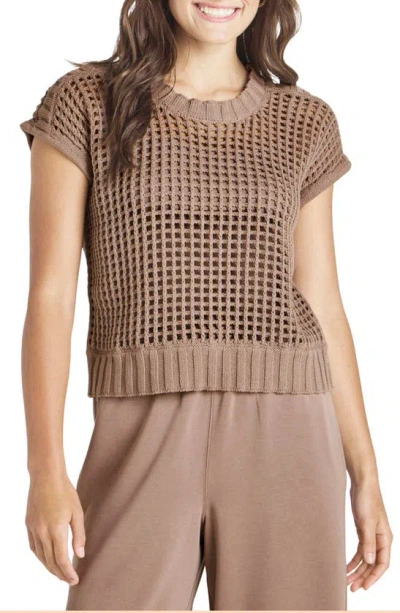 Splendid X Cellajaneblog Open Stitch Short Sleeve Sweater In Taupe