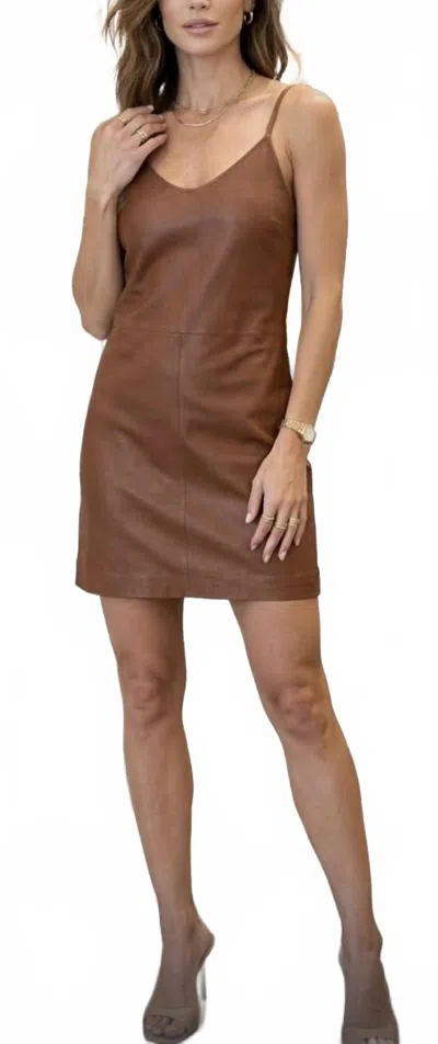 Sprwmn Mini Leather Slip Dress In Brown