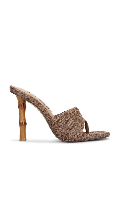 Steve Madden Briata Heels In Brown Raffia