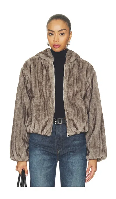 Steve Madden Carmilla Jacket In Brown
