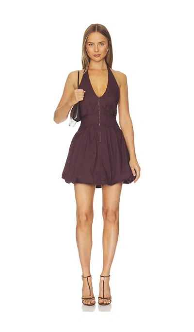 Steve Madden Dianna Dress In Fudge