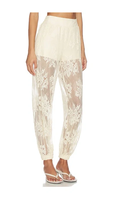 Steve Madden Faya Pant In Tropic San