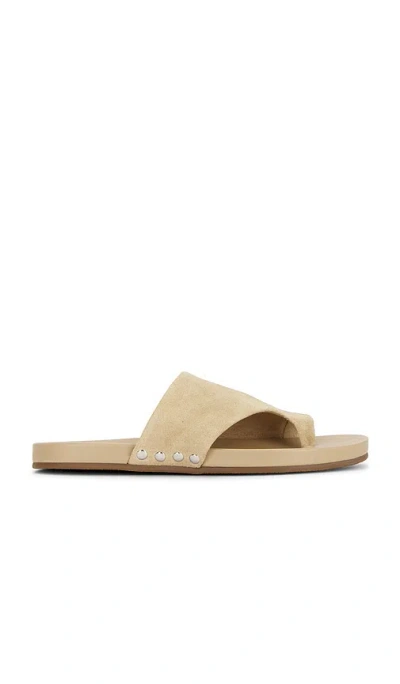 Steve Madden Kessey Sandal In Sand Suede