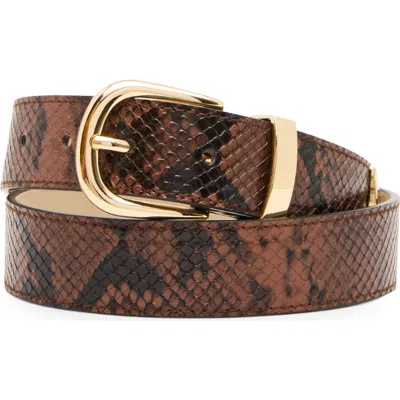 Steve Madden Snakeskin Print Faux Leather Belt In Brown
