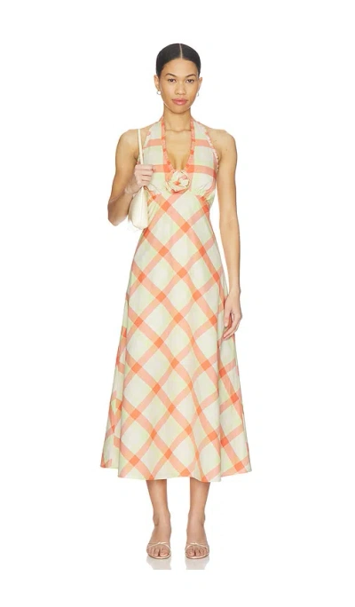 Steve Madden Tania Dress In Yellow