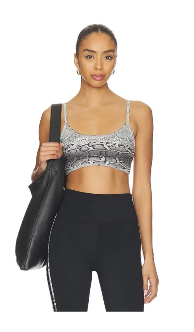 Strut This The Cher Sports Bra In Snake