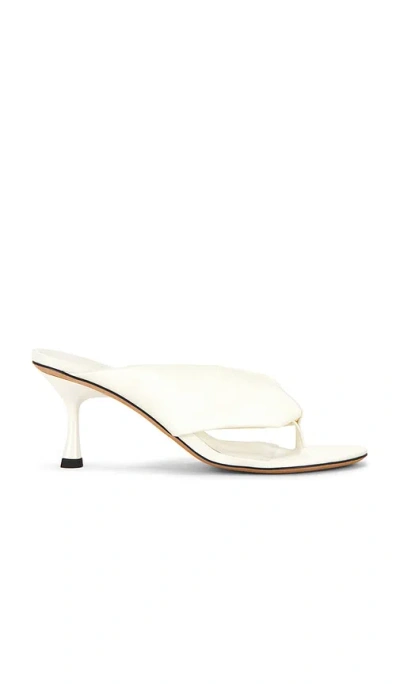 Studio Amelia Paloma Flip Flop Sandal In Ivory