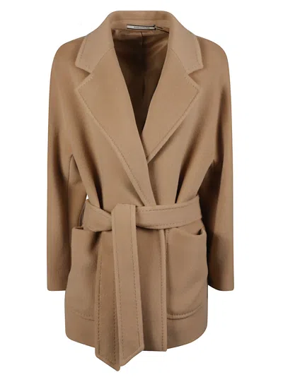 Tagliatore Denise Short Belted Virgin Wool Coat In Brown