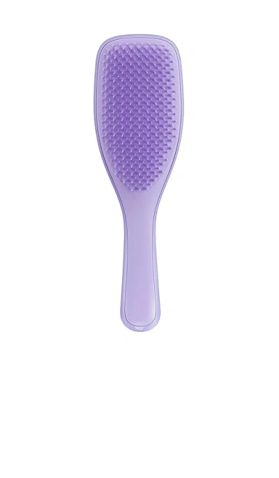 Tangle Teezer The Ultimate Detangler For Naturally Curly Hair In Purple Passion