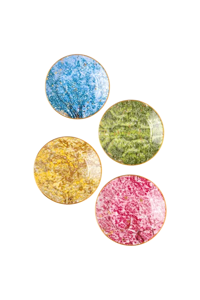 Tania Bulhões Bread Plate Arvores Do Brasil Set Of Four In Multi